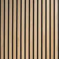 Acoustic Wall Pnl